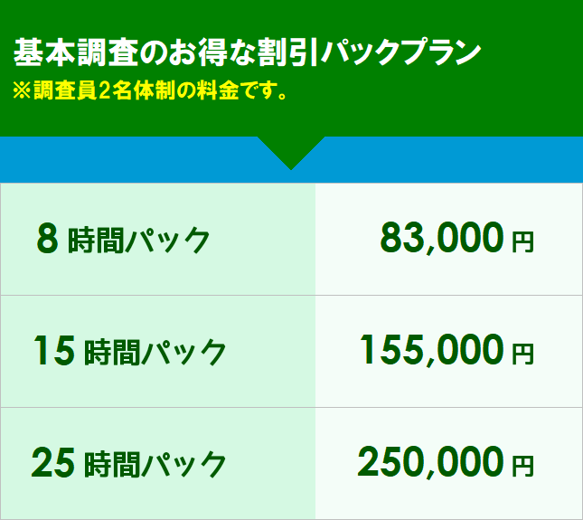 探偵 料金 浮気調査